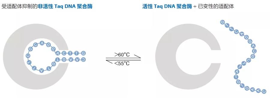图片 3