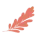图片 12